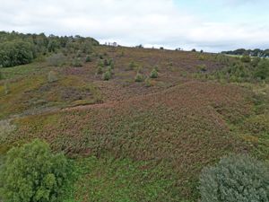 Manchester Road Hollow Meadows